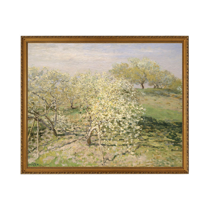 Orchard In Bloom - Unframed Art Print