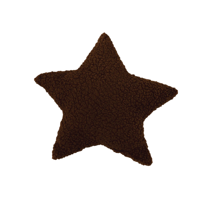 True North Star Sherpa Pillow