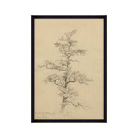 July Pine Tree Framed Artwork