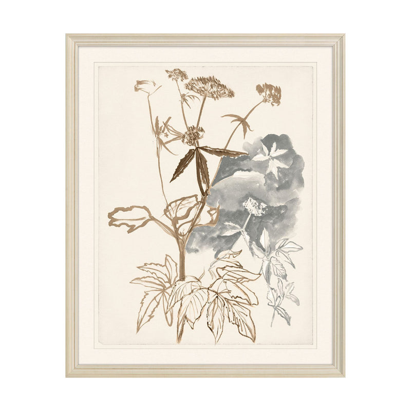Floral Botanicals Framed Artwork