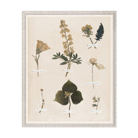 Botanical Pressings Artwork - Style No. 01