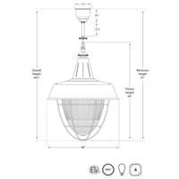 Henry Industrial Hanging Light